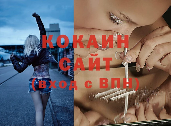 кокс Алексин