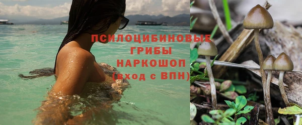 кокс Алексин