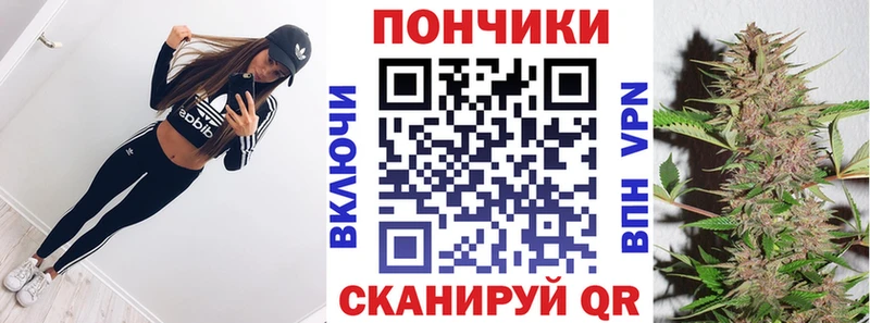 Бошки Шишки гибрид  Прохладный 