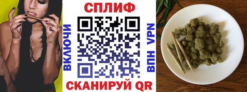 Каннабис SATIVA & INDICA Прохладный